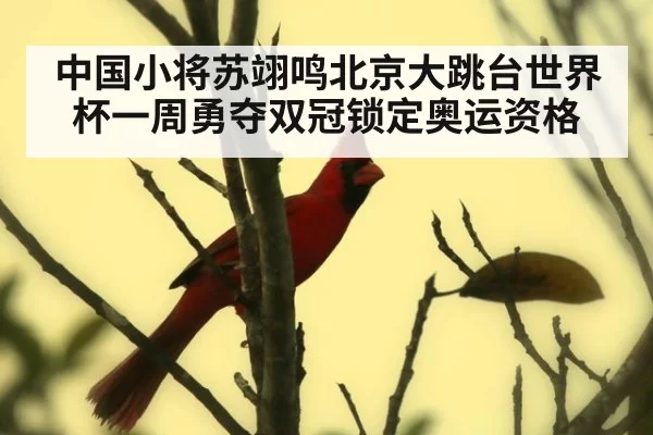 中国小将苏翊鸣北京大跳台世界杯一周勇夺双冠锁定奥运资格